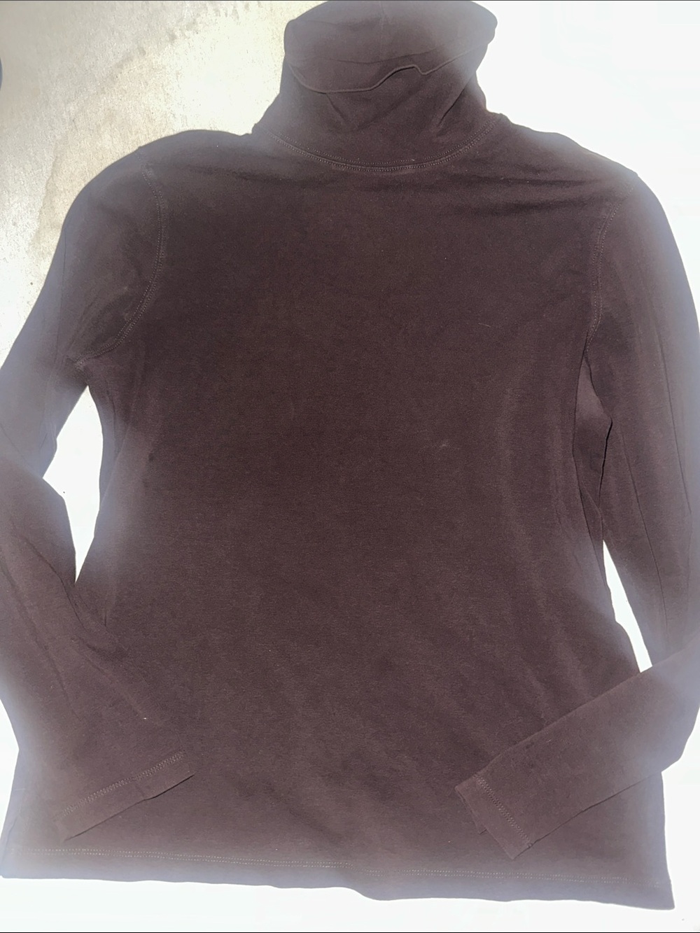 Womens Size L Brown Preswick & Moore Turtleneck